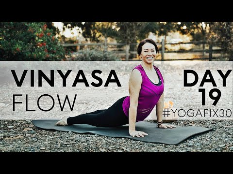 Vinyasa Flow Hip Openers and Bird Of Paradise Day 19 With Fightmaster Yoga