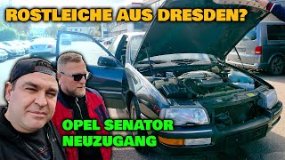 LEVELLA | Lieferung aus Dresden @DieAutogesellschaftDresden - Opel Senator doch eine Rostleiche?