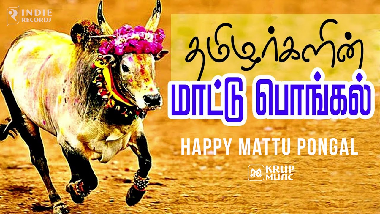 Mattu Pongal Status Video I Happy Pongal WhatsApp Status 2019 I ...