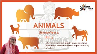 Science Year 4 |Breathing Organs of Animals | Vertebrates and Invertebrates|