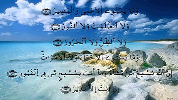 سورة فاطر * ورش * الحصري