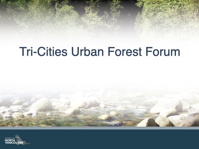 The Northern Forest Forum