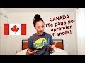 Canadá ¡Te paga por aprender francés!