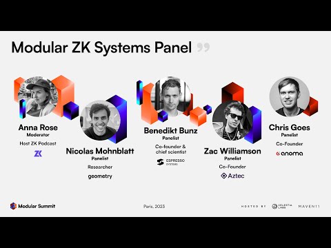 Modular ZK Systems Panel