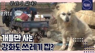 [FULL영상] ＂얘들이 날 살린거예요.＂ 개들만 사는 강화도 쓰레기 집?  MBN 170421 방송