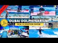 [4K] Dubai Dolphinarium!! BEST things to do this SUMMER in Dubai! | Dubai Attractions | Du