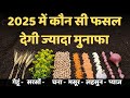 रबी सीजन में कौन सी फसल बोएं? गेहूं, सरसों, चना, लहसुन | सबसे ज्यादा मुनाफे वाली फसल 2025