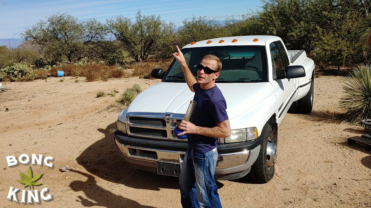 BongKing in Sahuarita