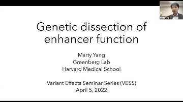 "Genetic dissection of enhancer function" Marty Yang (Greenberg lab, Harvard Medical School)