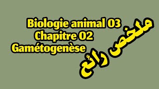 Biologie animale L1 snv chapitre 02 Gamétogenèse ملخص كامل لشابيتر 2 بيو انيمال