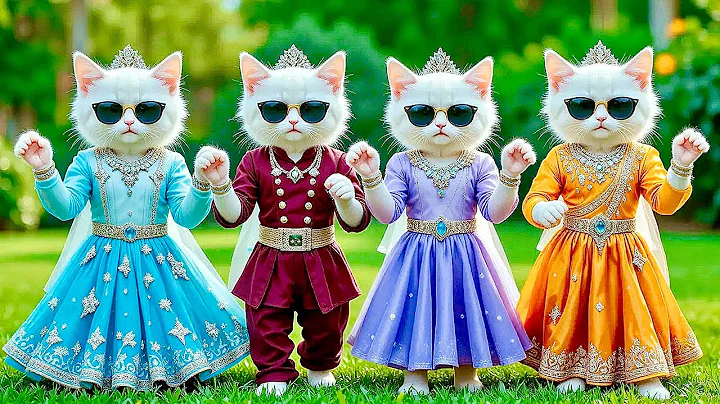 Video 11695201: kittens cat dance funny, cutest funniest cat dance, funnycatvideos