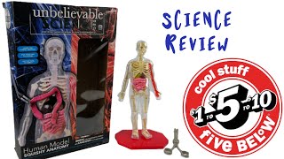 Human Model Squishy Anatomy | Five Below Review | Kids Science Projects