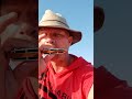 harmonica beatbox #beatboxing #beat #music #beatbox #harmonica #harmonicabeatbox