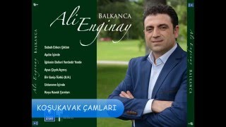 Ali̇ Engi̇nay - Koşukavak Çamlari (Balkanca)