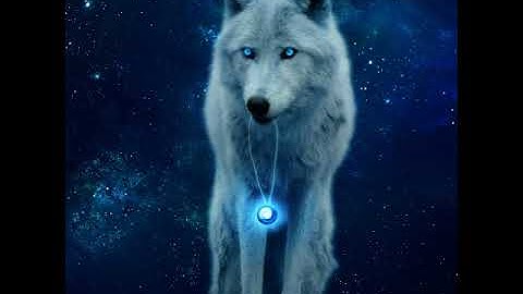 Welcome to Rust Force wipe