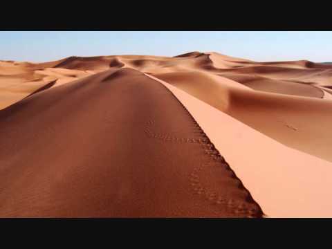 Video: Mitkä Eläimet Elävät Saharan Autiomaassa