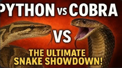 Python vs Cobra The Ultimate Snake Showdown!