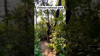 Chitwan National Park - Nepal