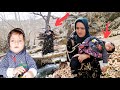 Living in Riverside: Zahra's quest for a new shelter in the forest