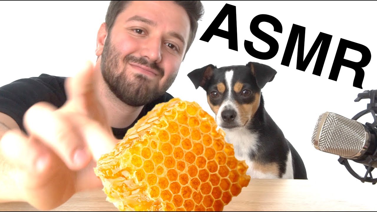 ASMR EATING WITH DOG (EATING SOUNDS) YouTube