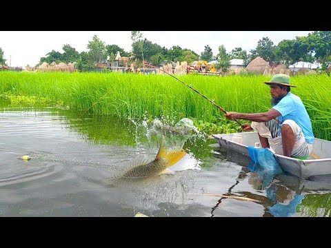 Amazing Hook Fishing In The River || Best Hook Fishing || Hook Fishing || Fish Catching Tactics