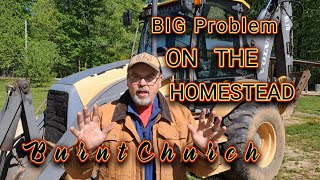 Handling Problems on A  Homestead #homestead #garden