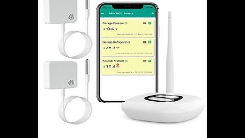 Freezer Temperature Monitor
