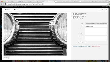 Best Multipurpose Premium WordPress Theme AccessPress Pro - Shortcodes | WordPress Tutorial