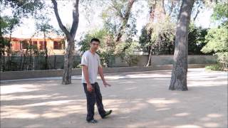 Cheng man ching tai chi 37 short form - Strumming the guitar (鄭子太極37式-手揮琵琶)
