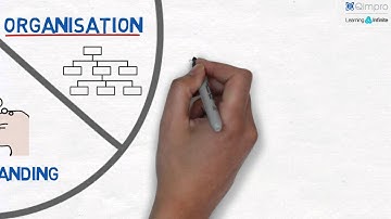 Video 7: The Breakthrough Chain