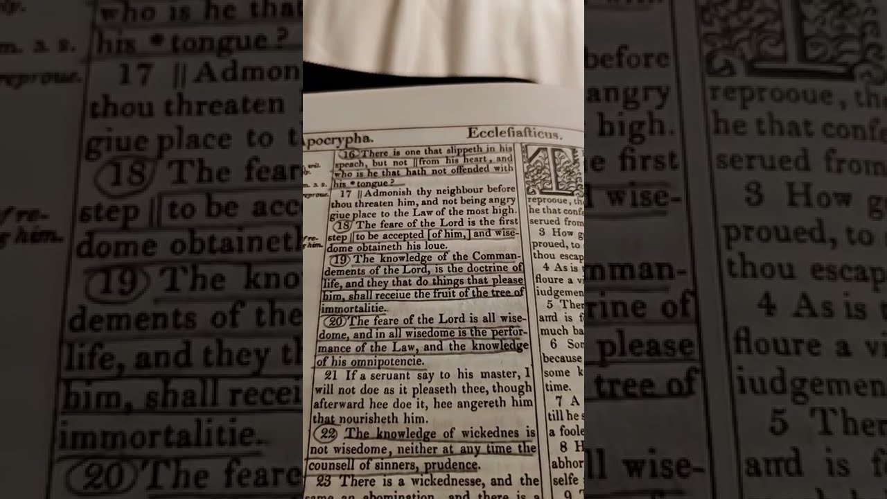 Ecclesiasticus 19 18 Fear The Lord Is First Step To Be Accepted Of Him 