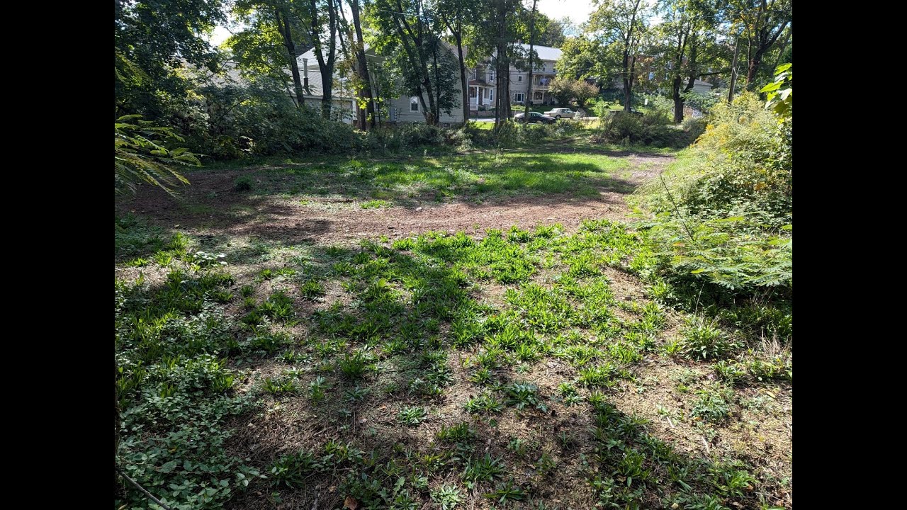 8 Carbon St - Pine Grove, PA 17963 - Howard Hanna Krall Real Estate - 717-273-1631