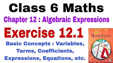 Class 6 Maths Exercise 12.1 | Algebraic Expressions | Maths Ahead | Class 6 Algebra | Basic Concepts