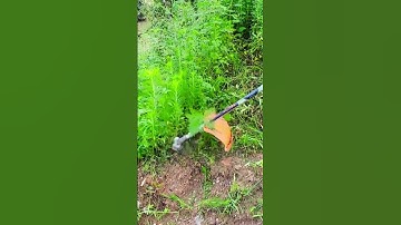 smart tool to clean weeds easily #shorts