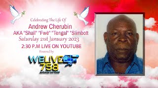Celebrating The Life  Of Andrew Cherubin