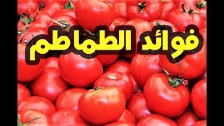 لن تصدق فوائد أكل الطماطم على الريق فوائد صحية تجبرك على تناولها !!