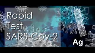 Certest Antigenos Covid Preuba Rapida