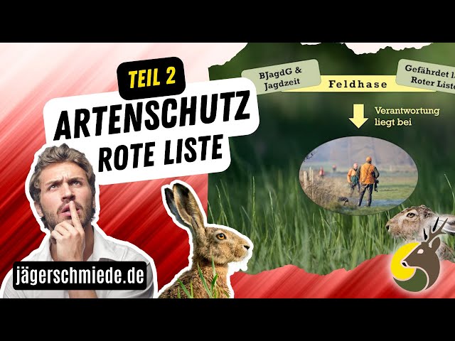 🦉Artenschutz - Rote Liste (Teil 2/2)🦉 Clever zum Jagdschein class=