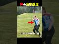 反射神経の極み😳