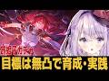 【崩スタ】旅姫子は実際どうなの?無凸で実践しよう【崩壊スターレイル】