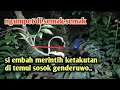 [LIVE] ILANG MALAH NGUMPET DI SEMAK-SEMAK