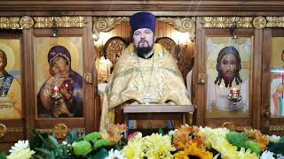 Обращение Патриарха зачитывает иерей Андрей Коновалов