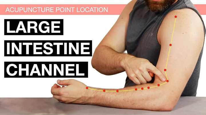 Acupuncture Point Location: The Large Intestine Channel (Large Intestine Meridian) - DayDayNews
