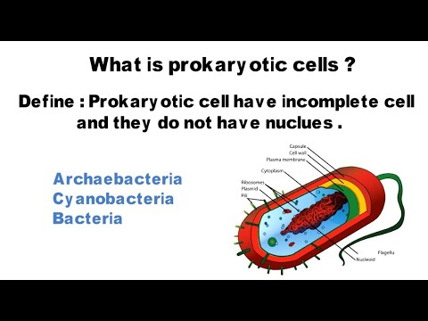 Video: Care este definiția celulelor procariote și eucariote?