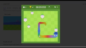 google snake speedrun 2 (slow 5 apples small)