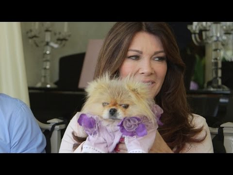 Lisa Vanderpump Fighting to Stop Dog Killing Festival in China video thumbnail