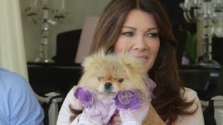 Lisa Vanderpump Fighting to Stop Dog Killing Festival in China