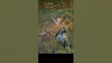Hit Boxes in Elden Ring operate like a fine Tuned machine.