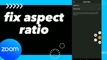 How To Fix Aspect ratio On Zoom App
