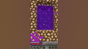 POV: You Enter the Minecraft Cursed Aether Portal